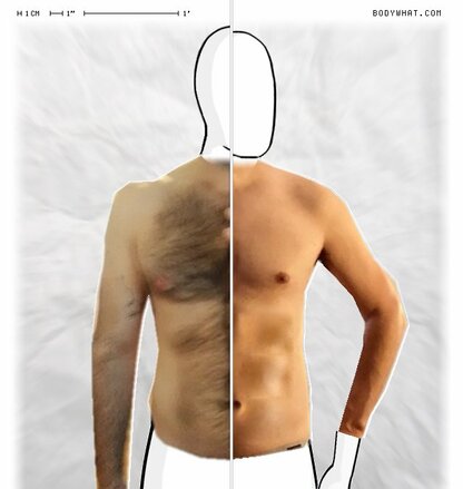 Torso Comparison