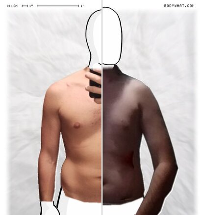 Torso Comparison
