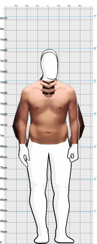 Full Size Comparison