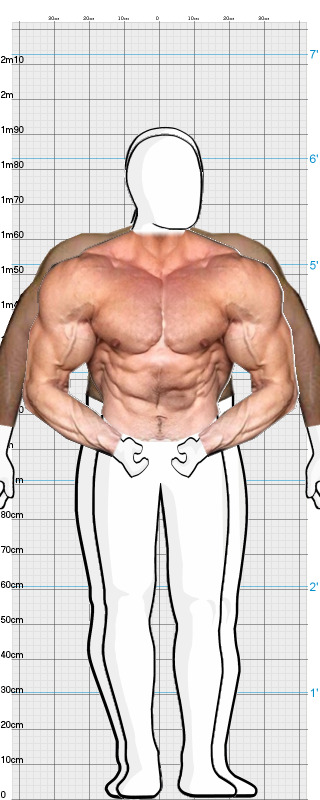 Full Size Comparison