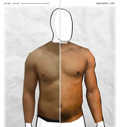 Torso Comparison