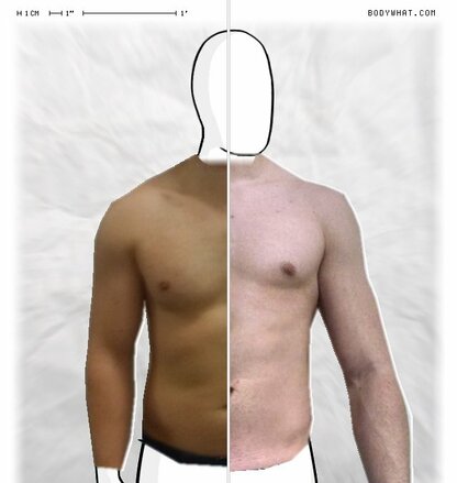 Torso Comparison