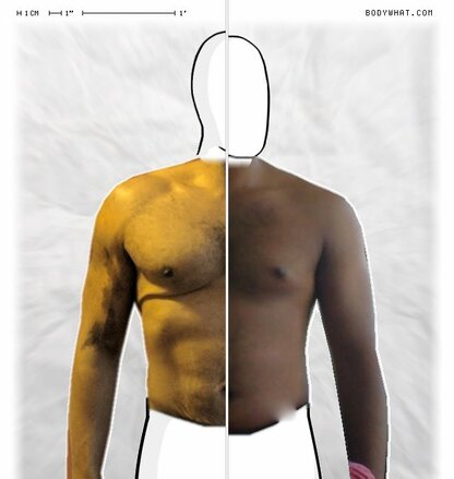 Torso Comparison