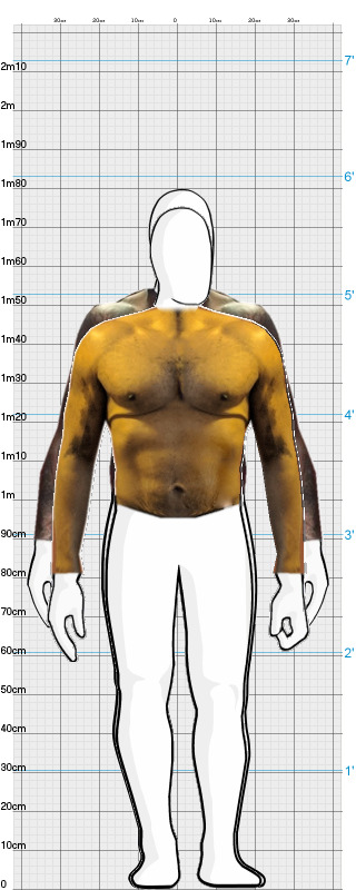 Full Size Comparison