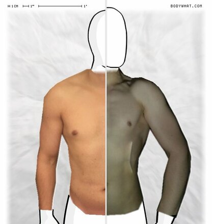 Torso Comparison