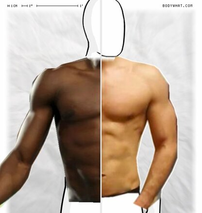 Torso Comparison