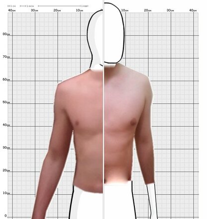 Torso Comparison