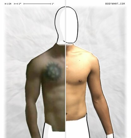 Torso Comparison