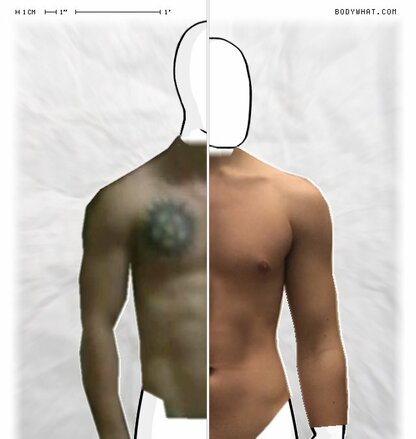 Torso Comparison