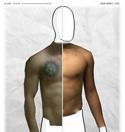 Torso Comparison