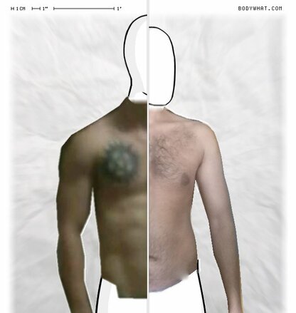 Torso Comparison