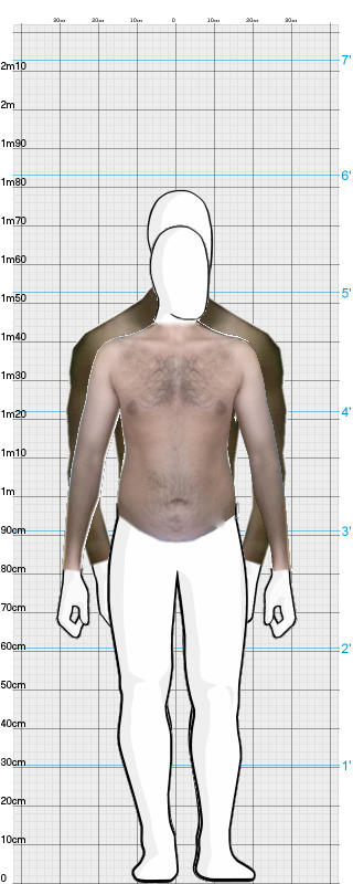 Full Size Comparison