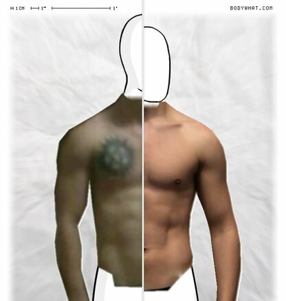 Torso Comparison
