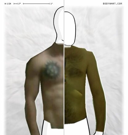 Torso Comparison