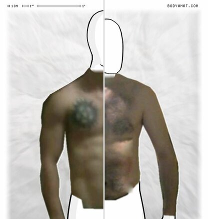 Torso Comparison