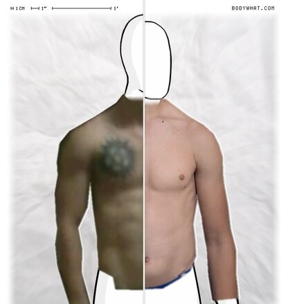 Torso Comparison