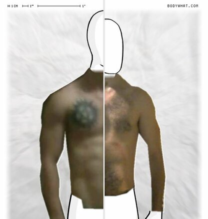 Torso Comparison