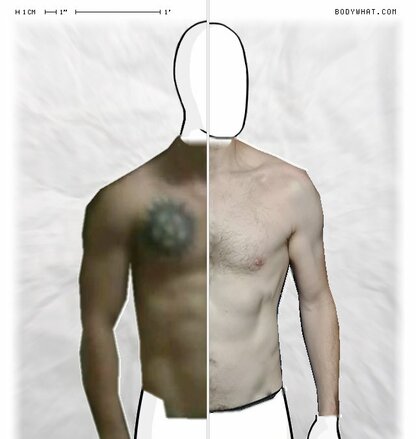 Torso Comparison
