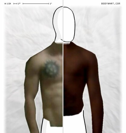 Torso Comparison