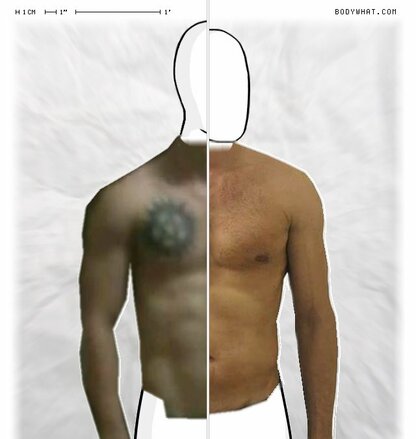 Torso Comparison