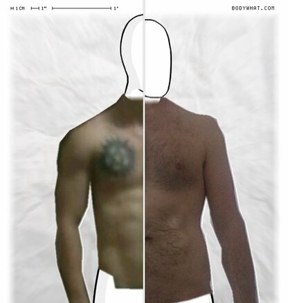 Torso Comparison