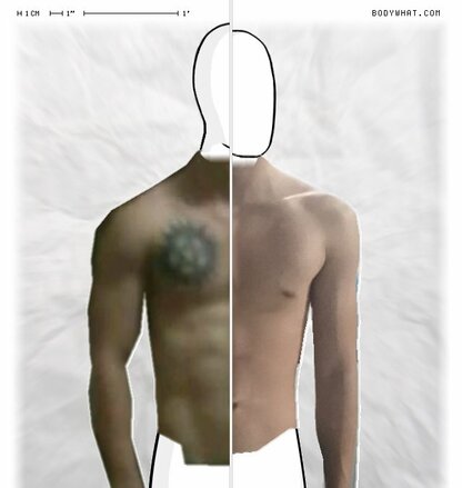 Torso Comparison