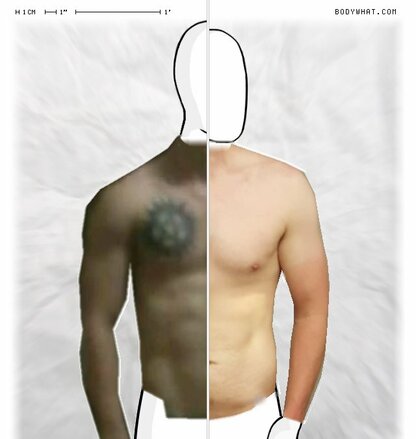 Torso Comparison