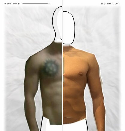 Torso Comparison