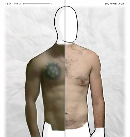 Torso Comparison