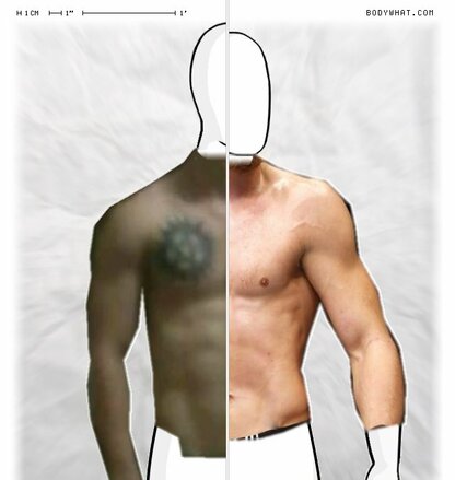 Torso Comparison