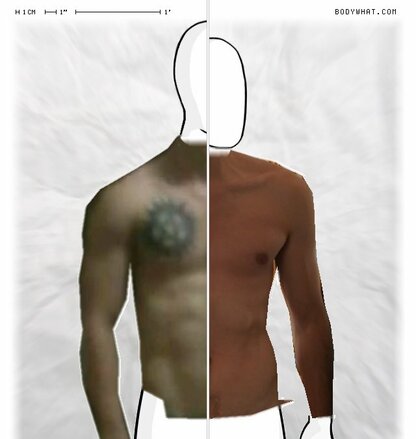 Torso Comparison