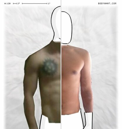 Torso Comparison