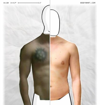 Torso Comparison