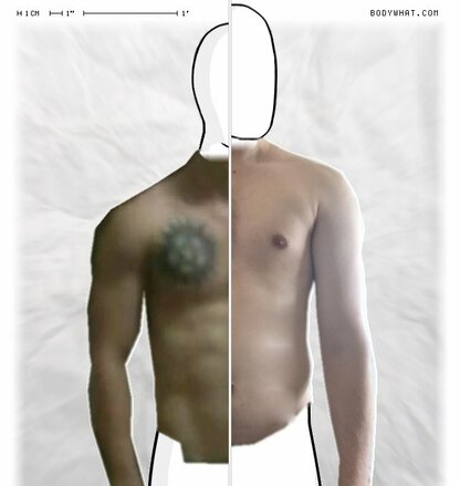 Torso Comparison