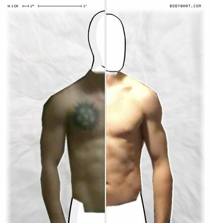 Torso Comparison