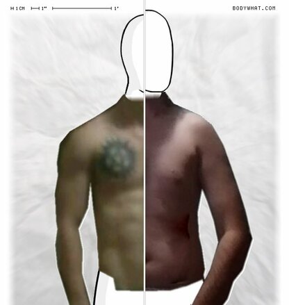 Torso Comparison