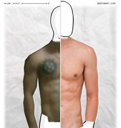 Torso Comparison