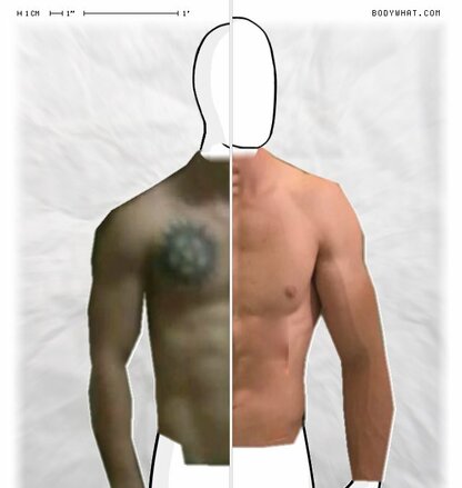 Torso Comparison