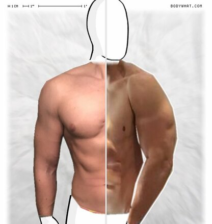 Torso Comparison