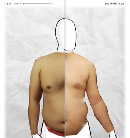 Torso Comparison