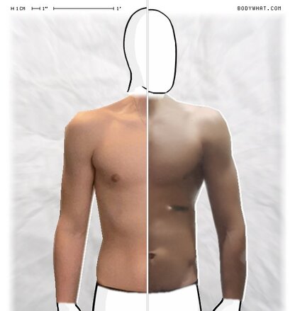 Torso Comparison