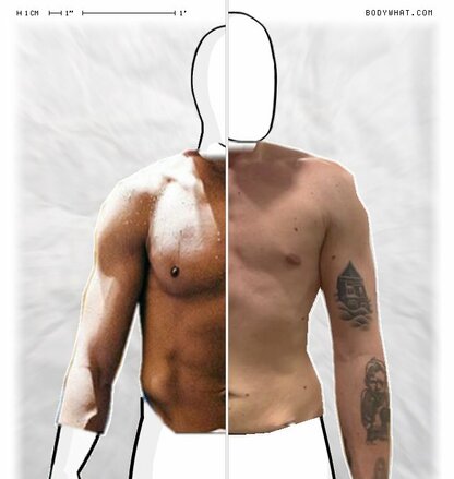 Torso Comparison