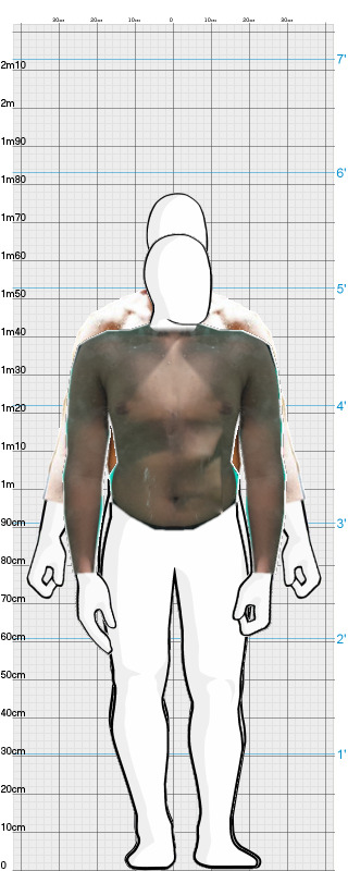 Full Size Comparison