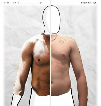 Torso Comparison