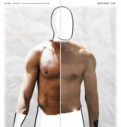 Torso Comparison
