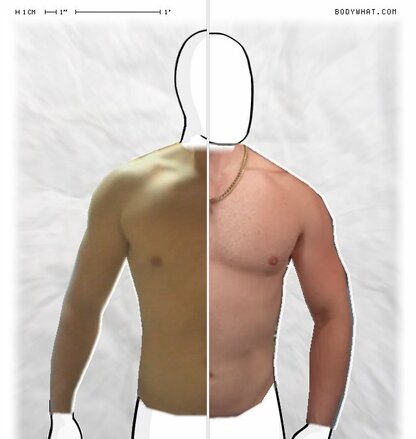 Torso Comparison