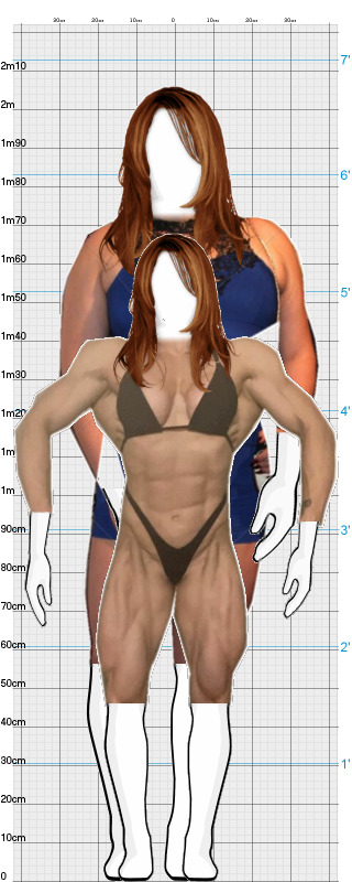 Full Size Comparison