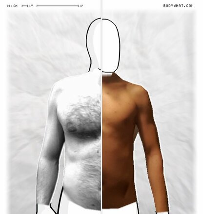 Torso Comparison