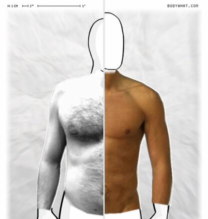 Torso Comparison