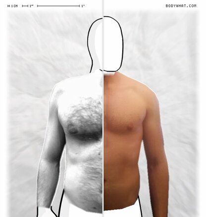 Torso Comparison